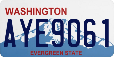 WA license plate AYE9061