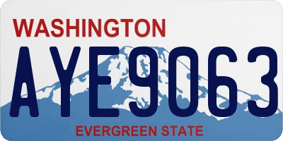 WA license plate AYE9063