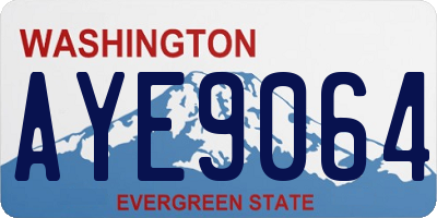 WA license plate AYE9064