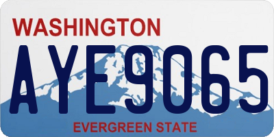 WA license plate AYE9065