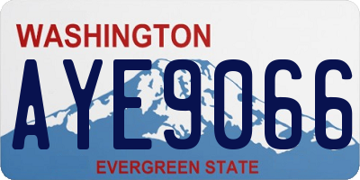 WA license plate AYE9066