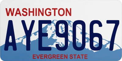 WA license plate AYE9067