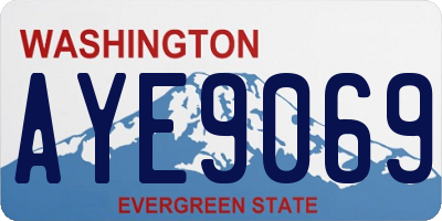 WA license plate AYE9069