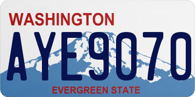 WA license plate AYE9070