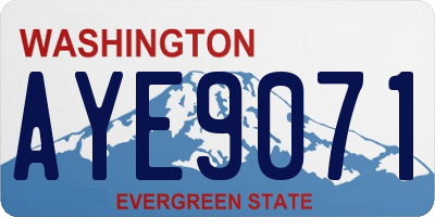 WA license plate AYE9071