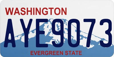 WA license plate AYE9073