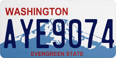 WA license plate AYE9074