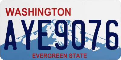 WA license plate AYE9076