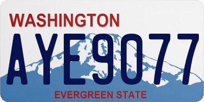 WA license plate AYE9077