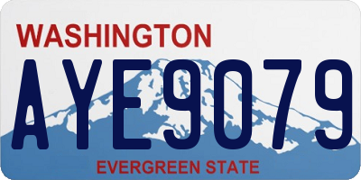 WA license plate AYE9079