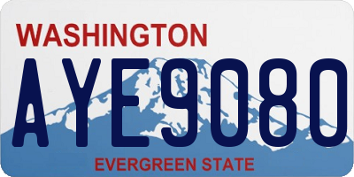 WA license plate AYE9080