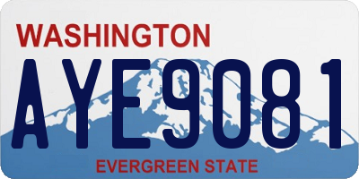 WA license plate AYE9081