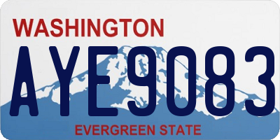 WA license plate AYE9083
