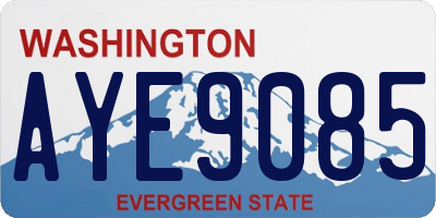 WA license plate AYE9085