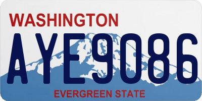 WA license plate AYE9086