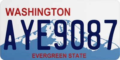 WA license plate AYE9087