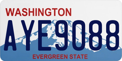 WA license plate AYE9088