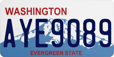 WA license plate AYE9089