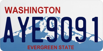 WA license plate AYE9091