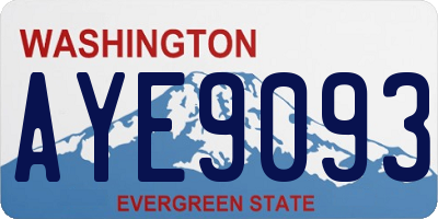 WA license plate AYE9093