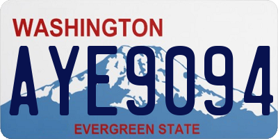 WA license plate AYE9094