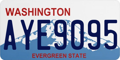 WA license plate AYE9095
