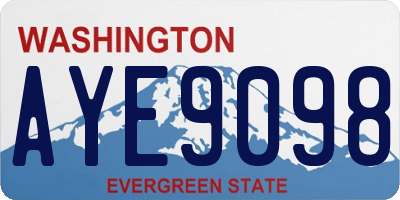 WA license plate AYE9098