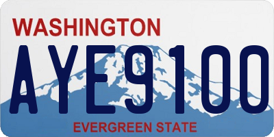 WA license plate AYE9100