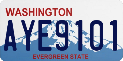 WA license plate AYE9101