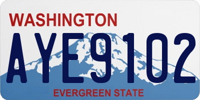 WA license plate AYE9102
