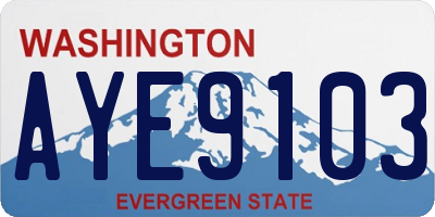 WA license plate AYE9103