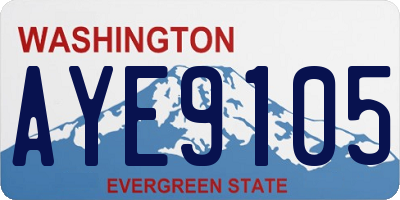 WA license plate AYE9105