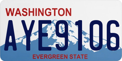WA license plate AYE9106