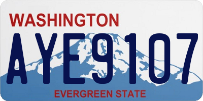 WA license plate AYE9107