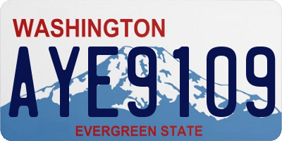 WA license plate AYE9109