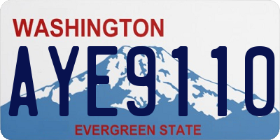 WA license plate AYE9110