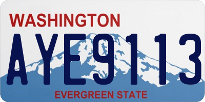WA license plate AYE9113