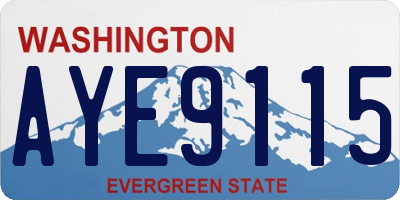 WA license plate AYE9115