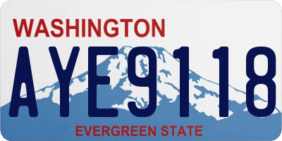WA license plate AYE9118