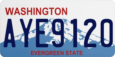 WA license plate AYE9120