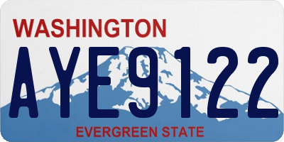 WA license plate AYE9122
