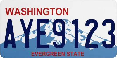 WA license plate AYE9123
