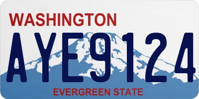 WA license plate AYE9124