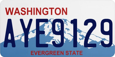 WA license plate AYE9129