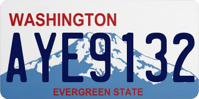 WA license plate AYE9132