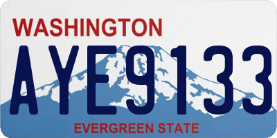 WA license plate AYE9133