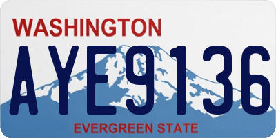 WA license plate AYE9136