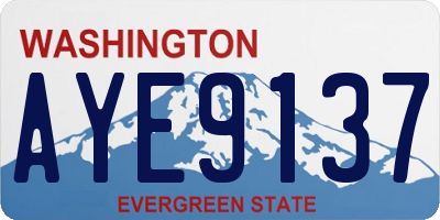 WA license plate AYE9137