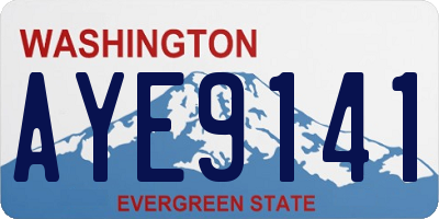 WA license plate AYE9141