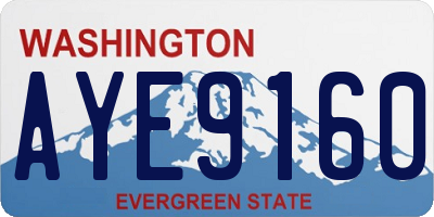 WA license plate AYE9160